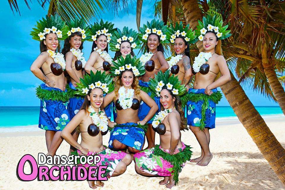 Dansgroep Orchidee Hawaii Tahiti Indische Dansgroep Boeken