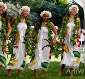 Maeva Hawaaiiaans Hawai Dansgroep Show Boeken