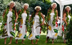 Maeva Hawaaiiaans Hawai Dansgroep Show Boeken