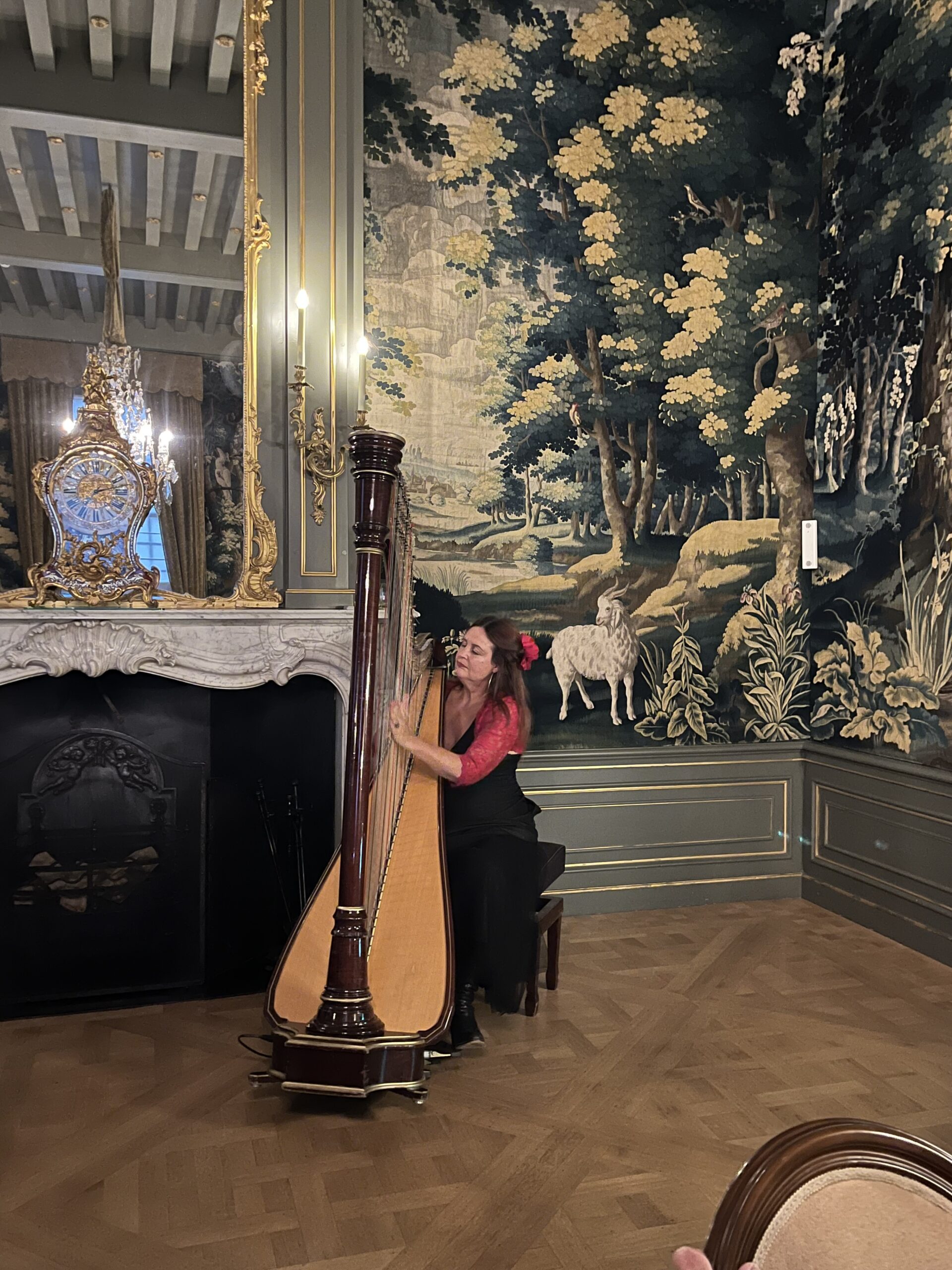 Duo Bella Rosa zangeres sopraan en harp