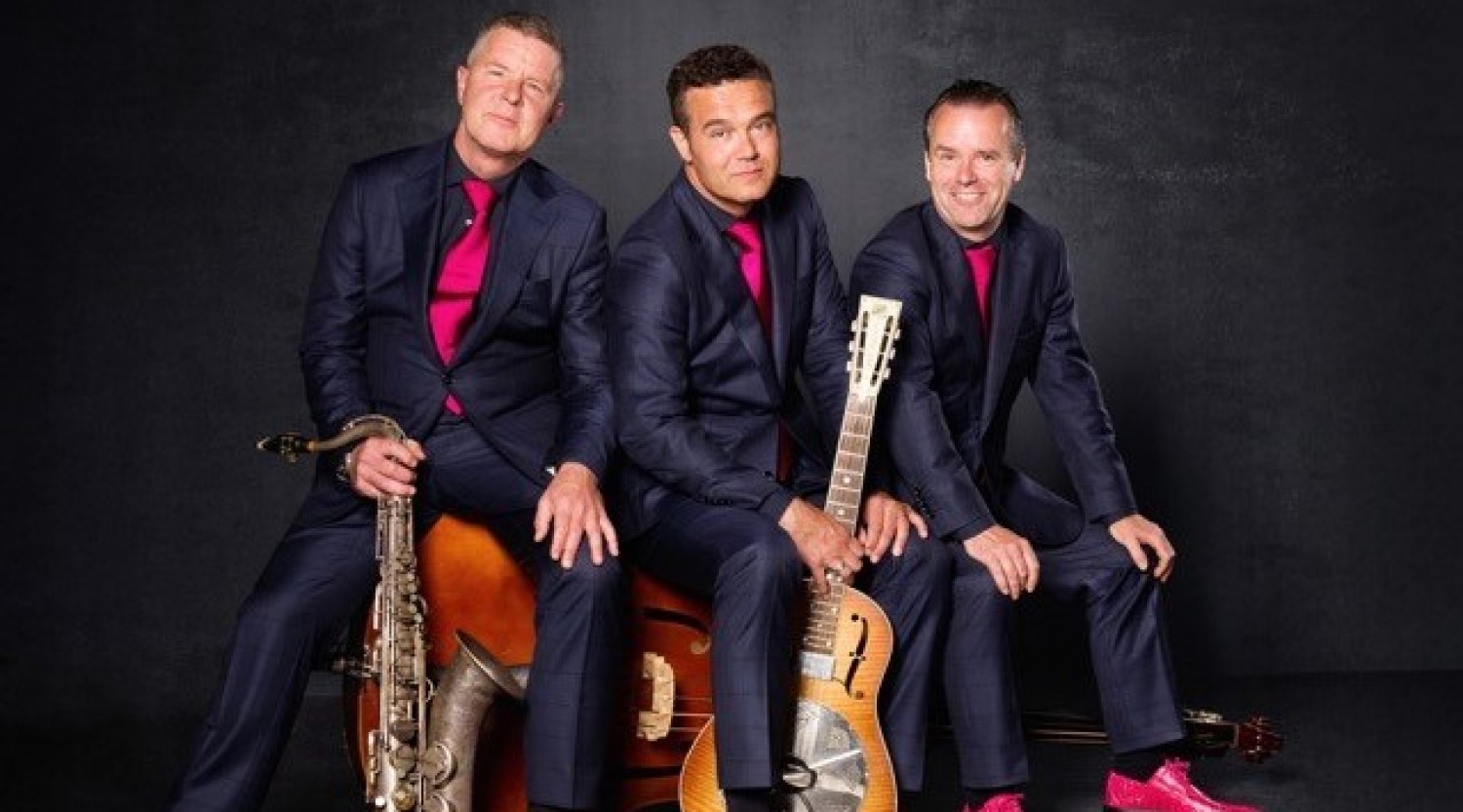 De Flamingos Akoestisch Allround Trio Boeken