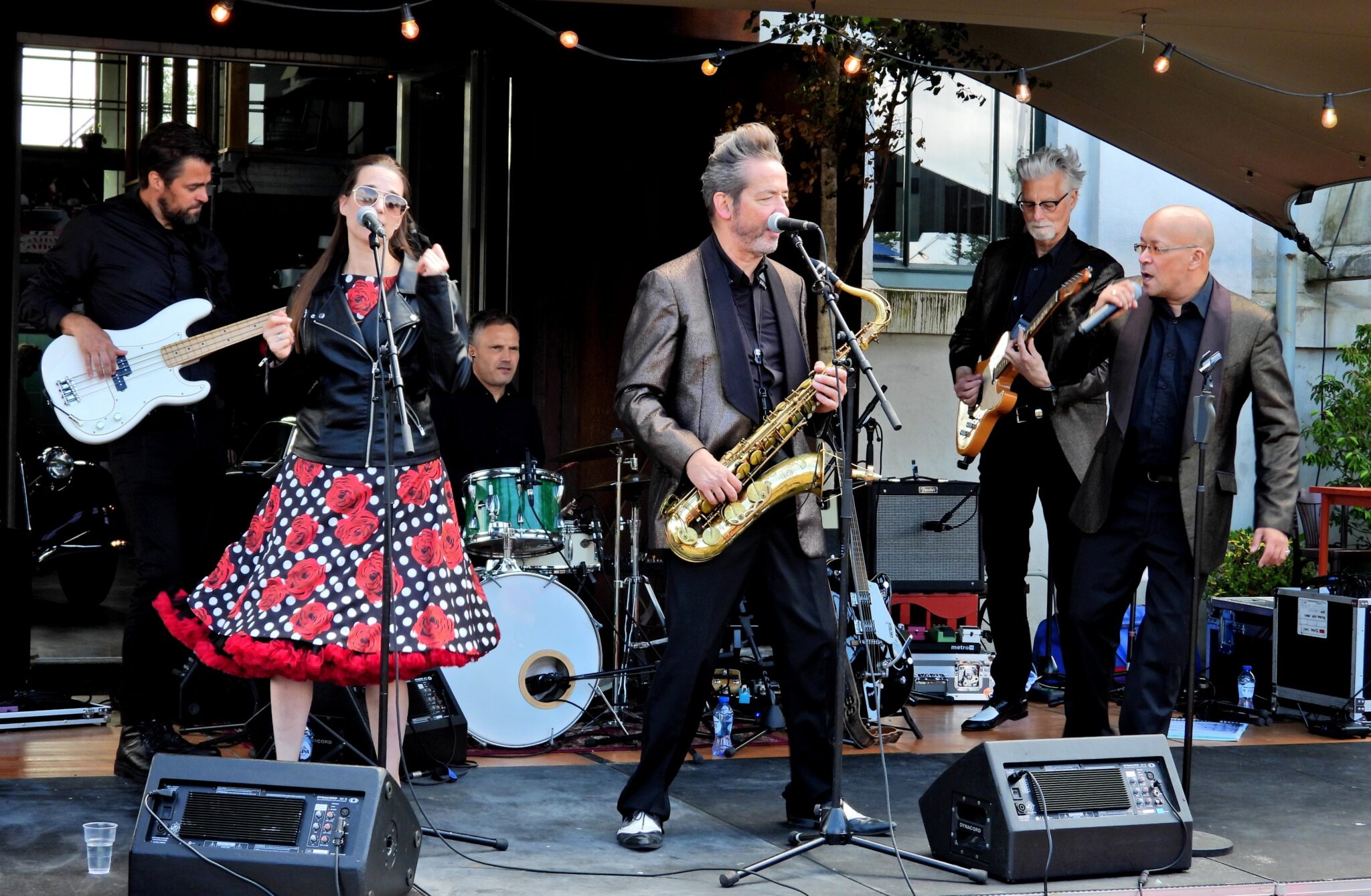 Crazy Cadillac 50-Jaren Rock & Roll Band Boeken